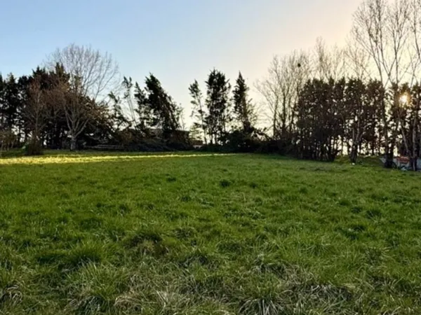 Terrain 2590 m²