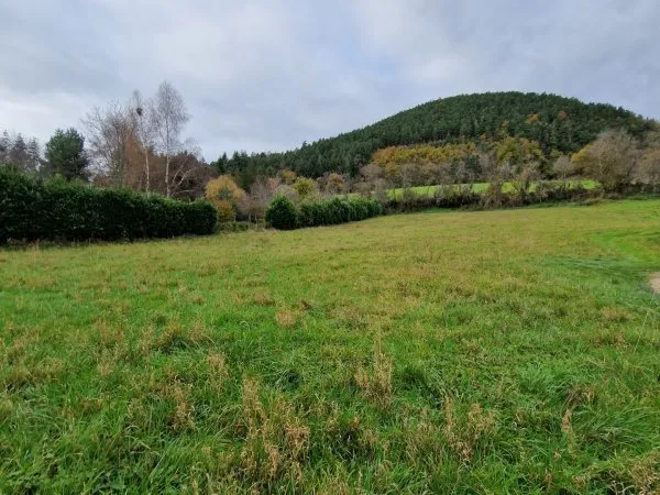 Terrain 3198 m²