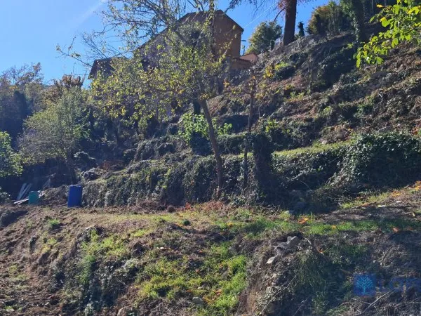 Terrain 2313 m²