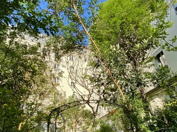 Appartement 3 pièces 40 m²