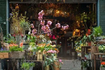 Fleuriste