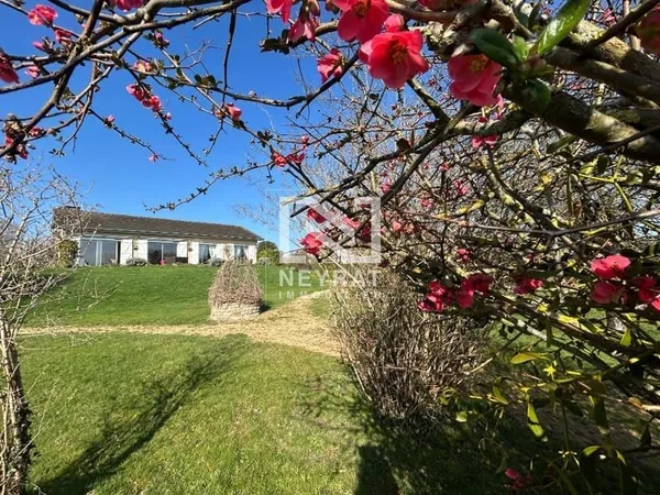 Maison élevée sur sous-sol aménagé