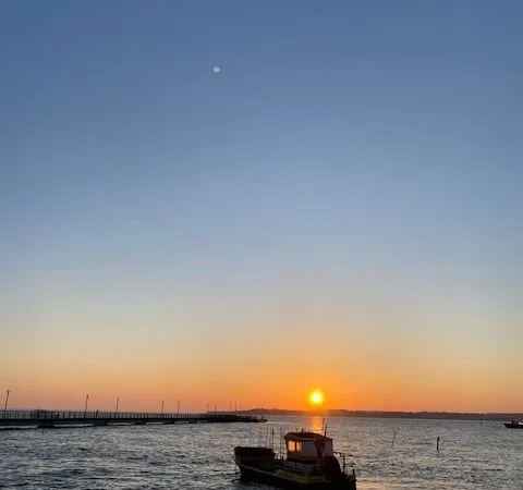 Cap ferret belisaire premiere ligne vue bassin