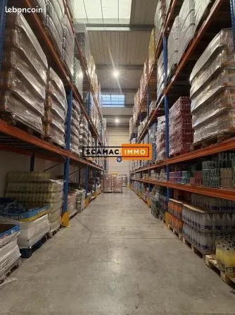 Local industriel 2 244 m²