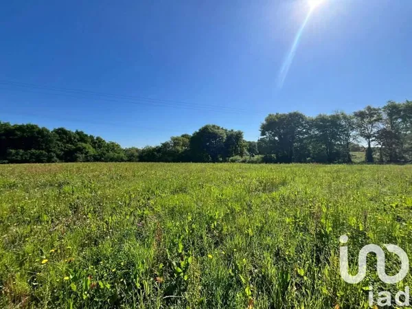 Terrain 3649 m²