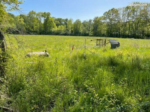 Vente ou location prairies