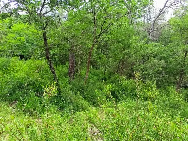 Terrain non constructible 12 120 m2 à Roquefort Les Pins