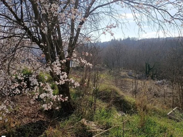 Beau terrain avec tres belle vue
