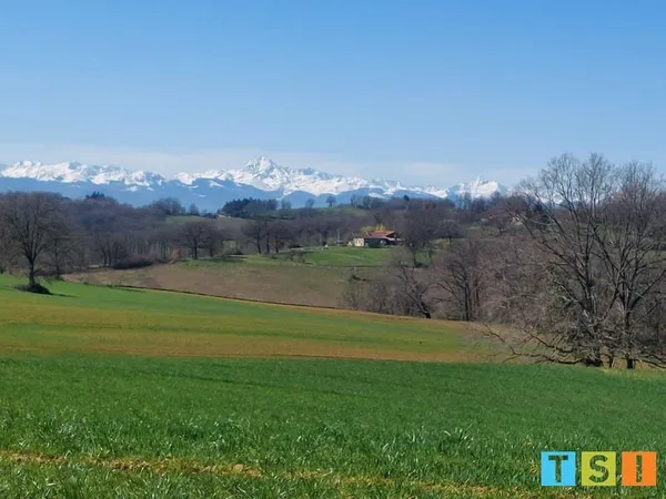 Terrain à bâtir Vente Cassagnabère-Tournas  2300m² 55000€