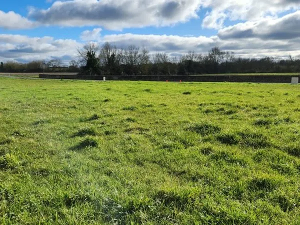 Terrain viabilisé de 946 m² à vendre à Maillé