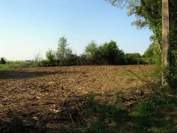 Terrain 1402 m²