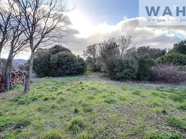 VENTE TERRAIN CONSTRUCTIBLE de 1096 m2 VIABILISE - CAUSSE-DE