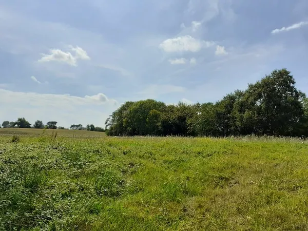 TERRAIN DE 1329M²