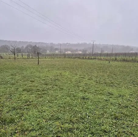 Terrain 1011 m²