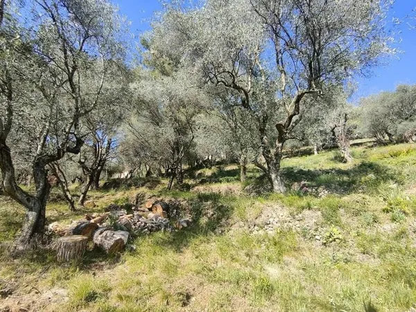 Secteur prisé