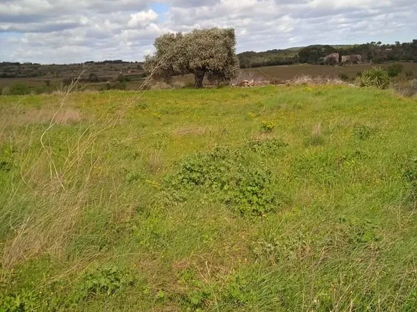 Terrain agricole / Loisirs