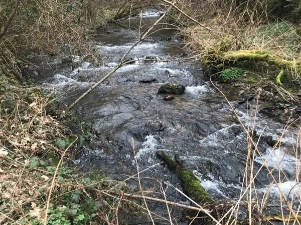 Terrain de loisirs