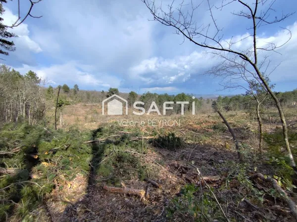 À Vendre : Terrain en Zone Forestière à Reillanne