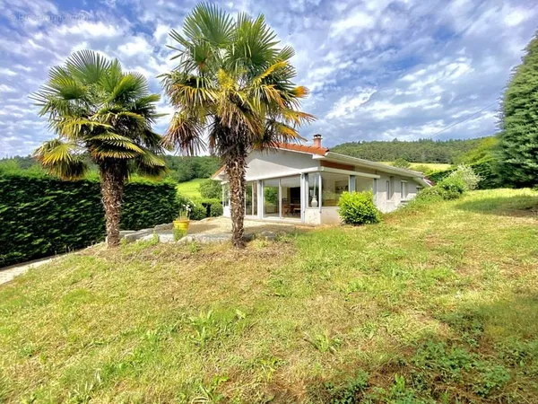 Magnifique maison sur un terrain de 2585 m2 proche de Bourg-Argental...