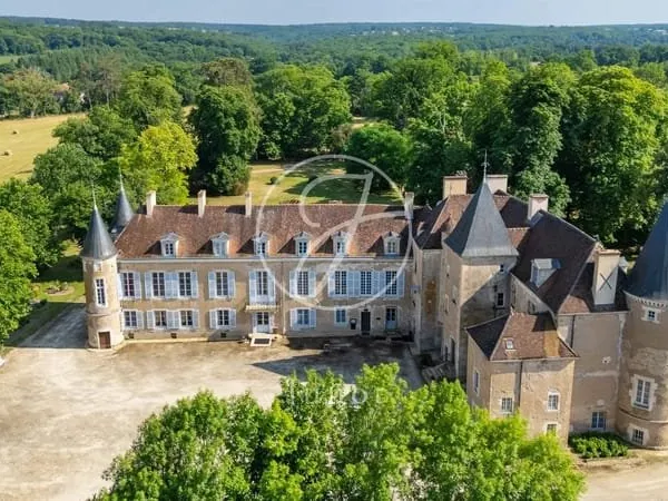 Vézelay - Yonne - Château des Xv, Xvi et XVIIIe siècle à vendre - 1500m² - Parc de 10ha.