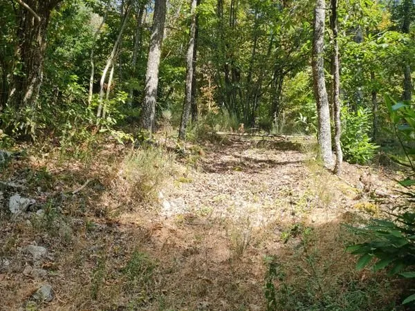 Terrain agricole loisir