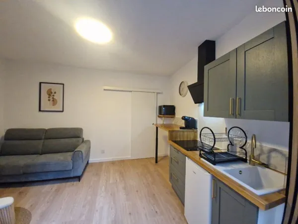 Studio meublé rénové Place Saint pierre