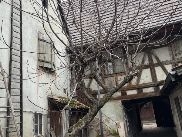 Maison 4 pièces 85 m²