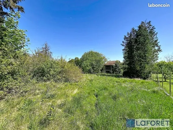 Terrain 3 677 m² Bourbonne Les Bains