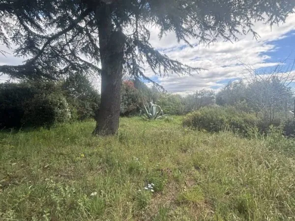 Terrain 311 m²
