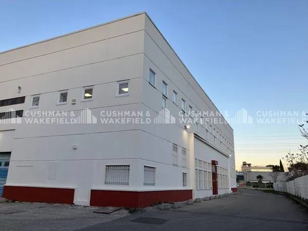 Bureau 300 m²