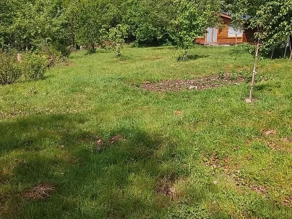 Colocation dans un chalet