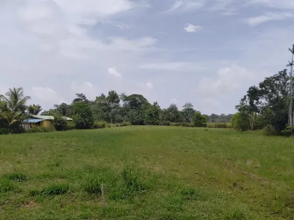 Terrain à vendre de 5 511,00 m² MONTSINERY TONNEGRANDE (973)