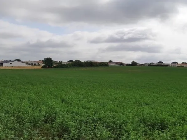Beau terrain à construire