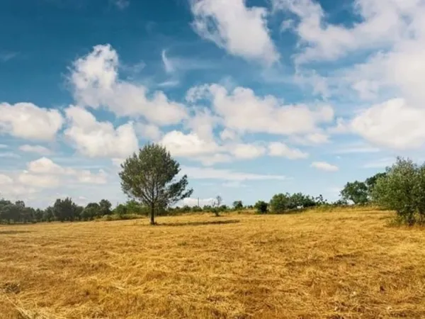 Terrain 3290 m²