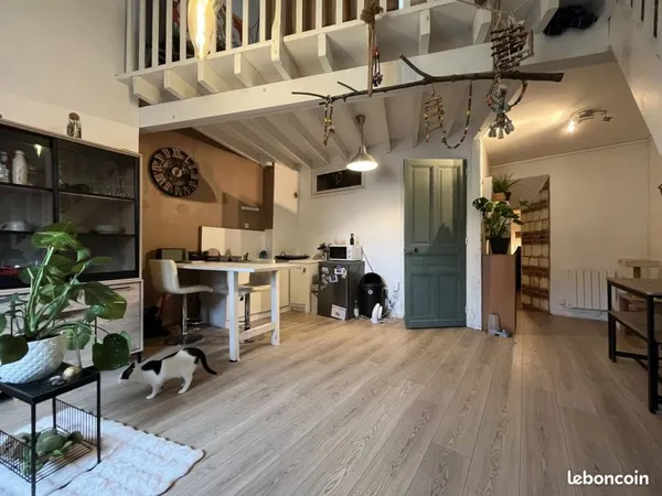 Duplex 2 pièces 47 m²