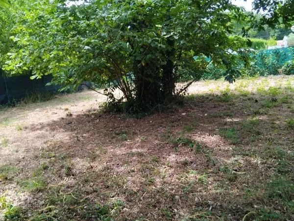 Terrain constructible. Viabilisé et cloturer
