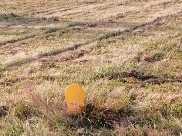 Terrain viabilisé