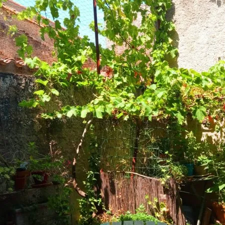 Maison de village, remise avec petit exterieur