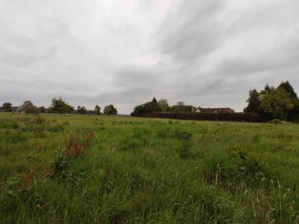 Terrain 988 m²