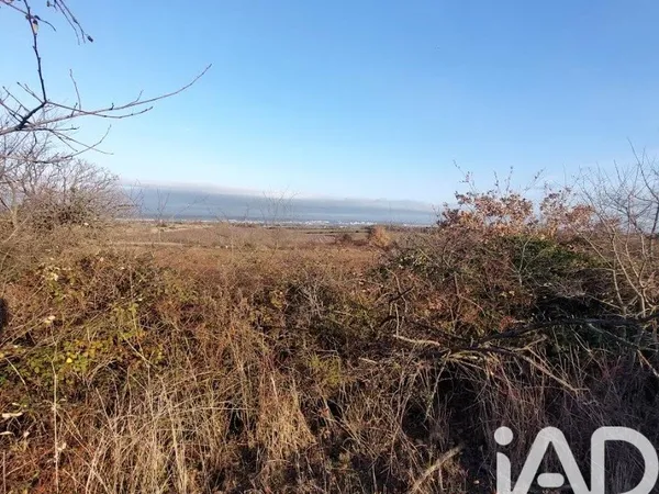 Terrain 3865 m²