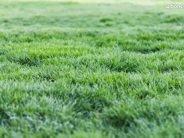 Terrain 890 m² Plougar