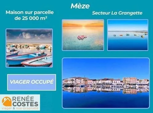 Viager occupé - H77 ans - MEZE (34140)