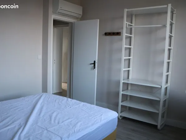 Colocation centre ville Albi