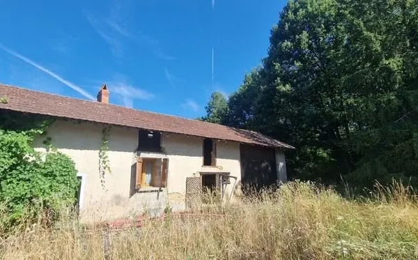 Maison à vendre 3 pièces , ferme longère bressane à rénover sur T 7814m²