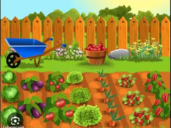 Parcelle pour jardin en location