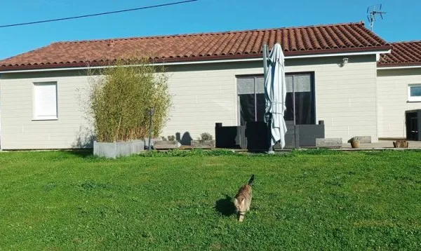 Maison de plain-pied pied ossature bois