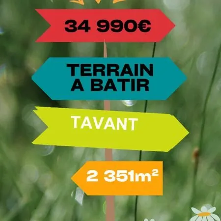 Terrain 2351 m² TAVANT