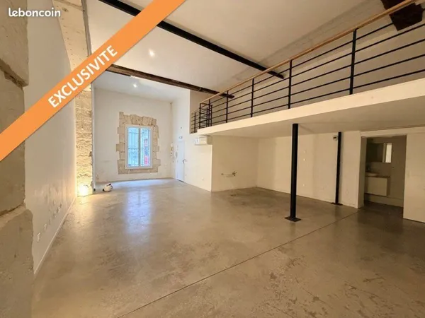 Loft/atelier/surface 1 pièce 70 m²