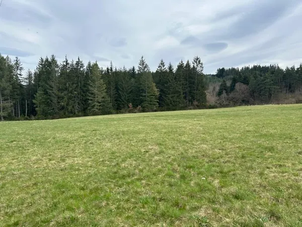 Grande parcelle de terrain à construire !
