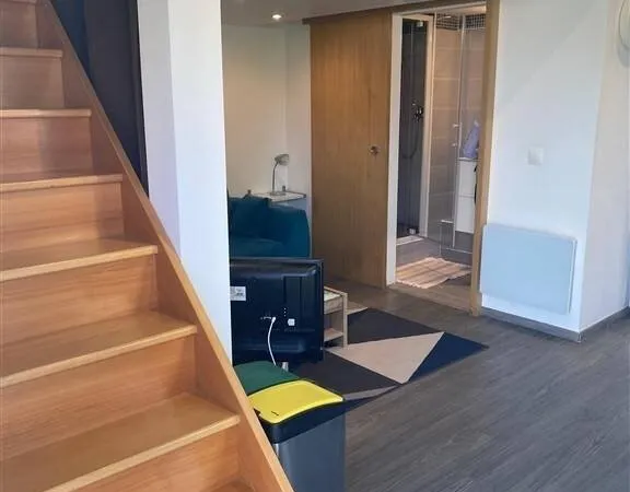 Appartement 1 pièce 21 m²
